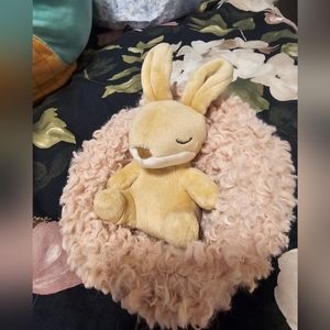 JellyCat Hibernating Bunny